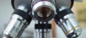 microscope ikms biotech